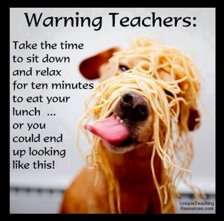 67 Hilarious Teacher Memes - Thanks for the warning.