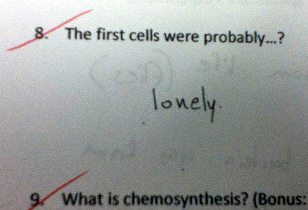 29 Funny Test Answers - The first cells were probably...?