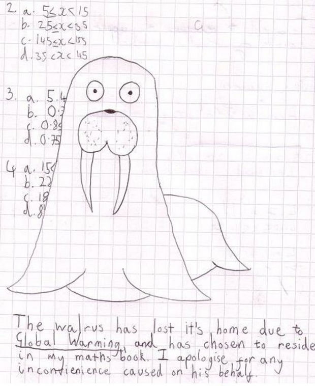 29 Funny Test Answers - Walrus drawing on exam