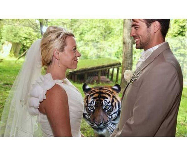 Tiger - 30 Wedding Photobombs Will Have You Screaming ‘I Do!’ with Laughter