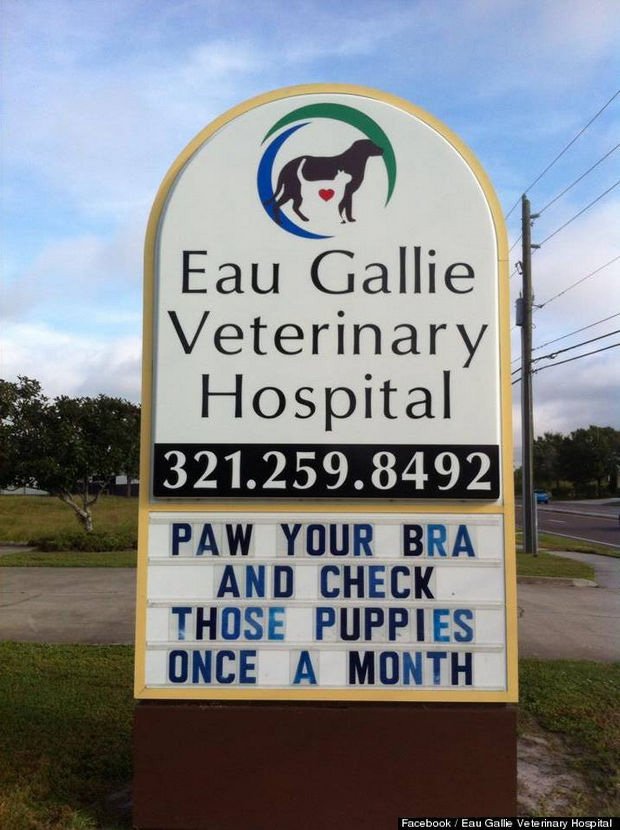 Paw your bra and check those puppies once a month.