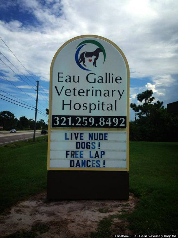 Funny Vet Hospital Signs - Live nude dogs! Free lap dances!