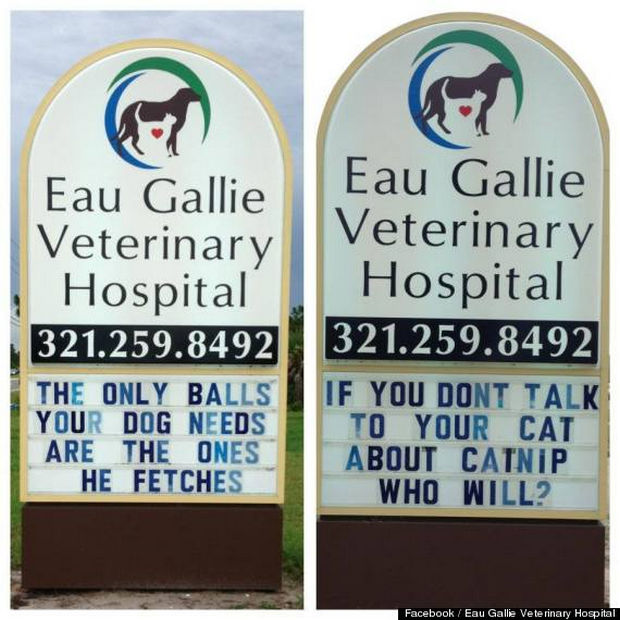 Funny Vet Hospital Signs - The only balls your dog needs are the one he fetches.