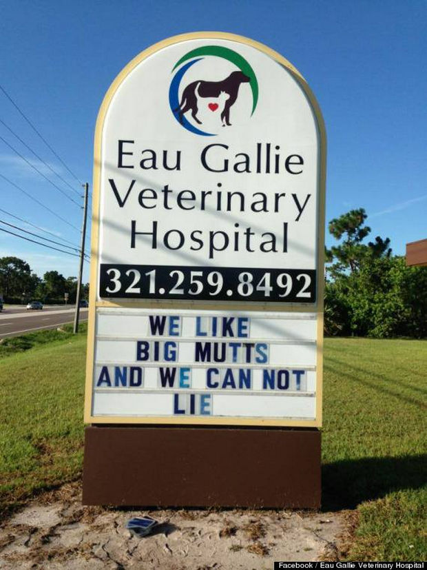 Funny Vet Hospital Signs - 
