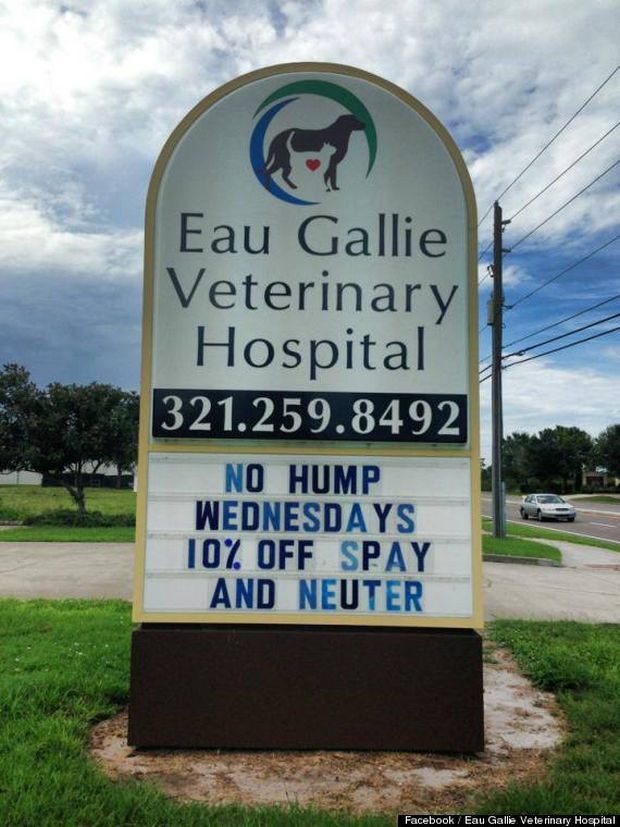 Funny Vet Hospital Signs Will Make You Howl with Laughter