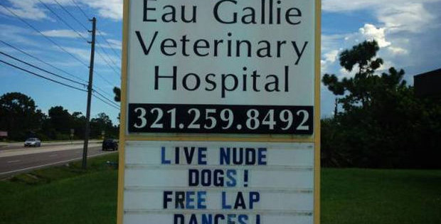 Animal Hospital Signs Will Make You Howl with Laughter