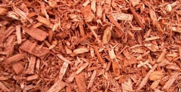What This Man Found in a Bag of Mulch Is a Miracle