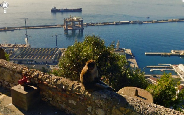 A monkey chillin' on a ledge with a view overlooking the sea.