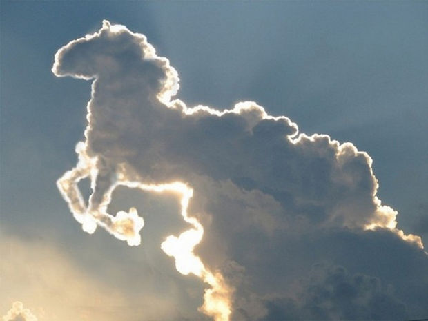 12 Types of Clouds That Are Awesome - Horse - Cloud formations that look like objects.