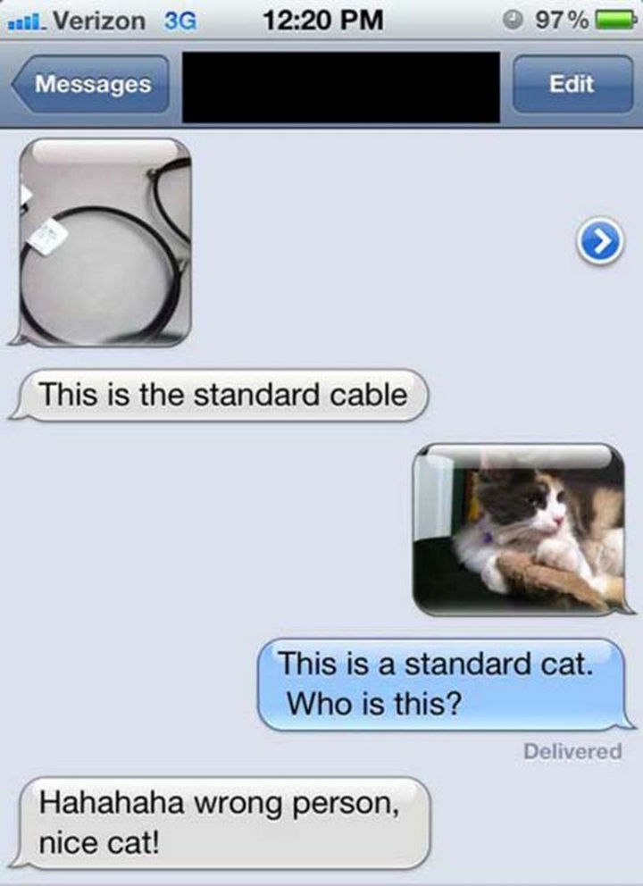 16 Funny Wrong Number Texts - Nice cat!