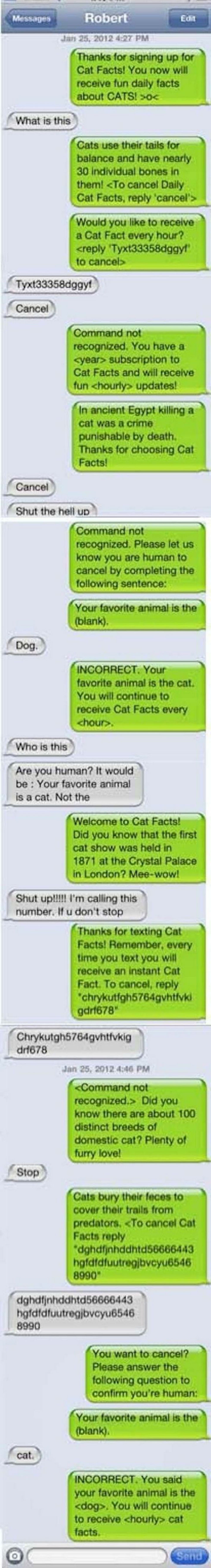 16 Funny Wrong Number Texts - Annoying cat facts!