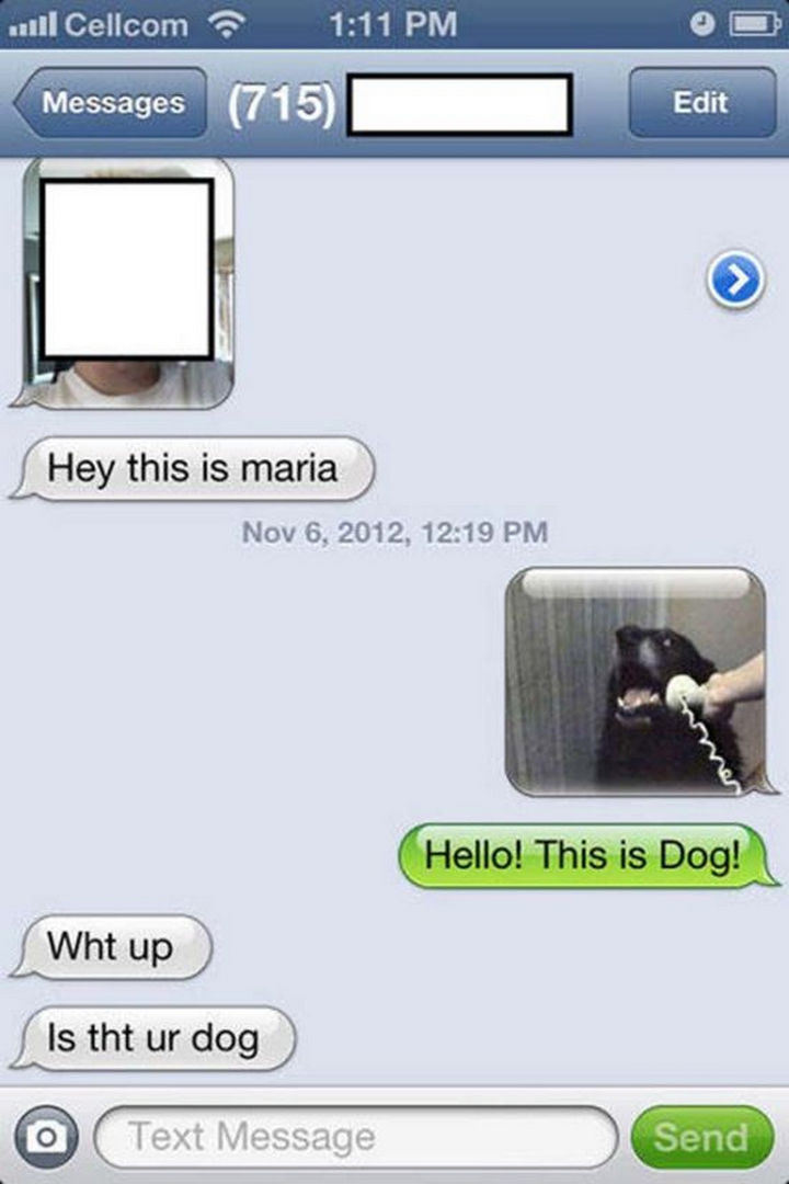 16 Funny Wrong Number Texts - Dogs can text.