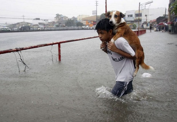 29 Powerful Pictures - A boy carries his dog to safety during a flood in the Philippines.
