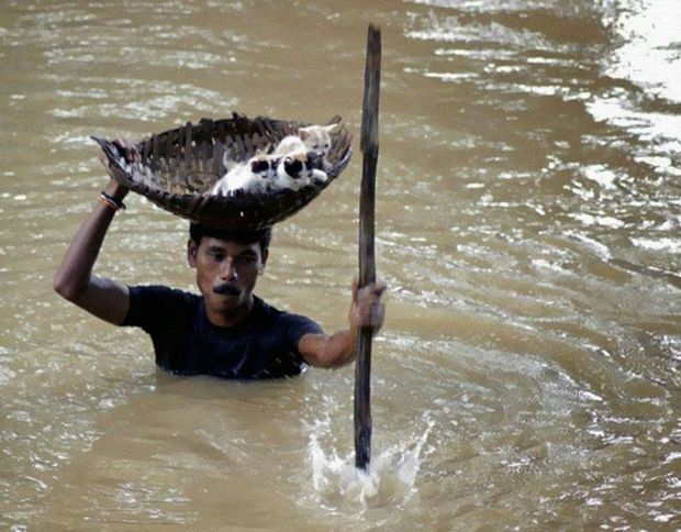 29 Powerful Pictures - In 2011, this villager saved several stray cats by carrying them in a basket balanced on his head during massive floods in Cuttack City, India.