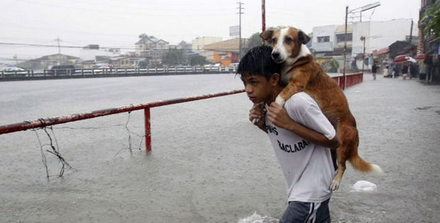29 Powerful Photos That Will Restore Your Faith in Humanity