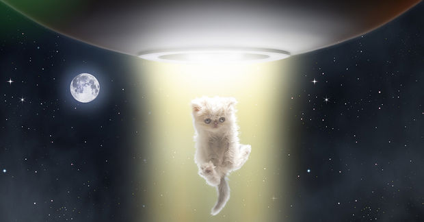 Aliens love cute little cats too.