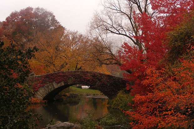 Fall colors at Gapstow Bridge - New York, USA.