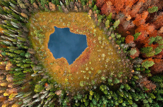 Fall colors at Forest Lake - Poland.