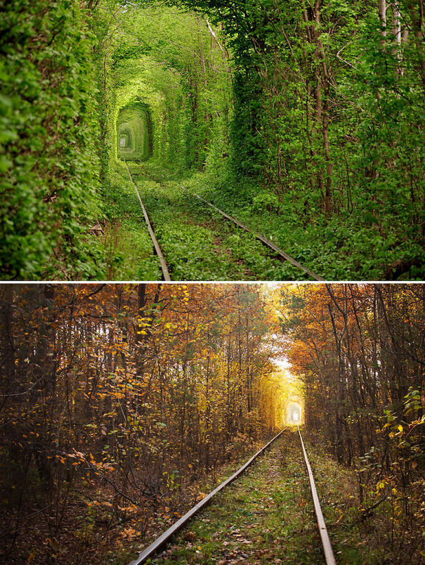 14 Fall Foliage Landscapes - Tunnel of Love - Ukraine.