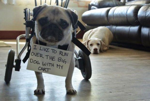 I'm sure he only means it sometimes.