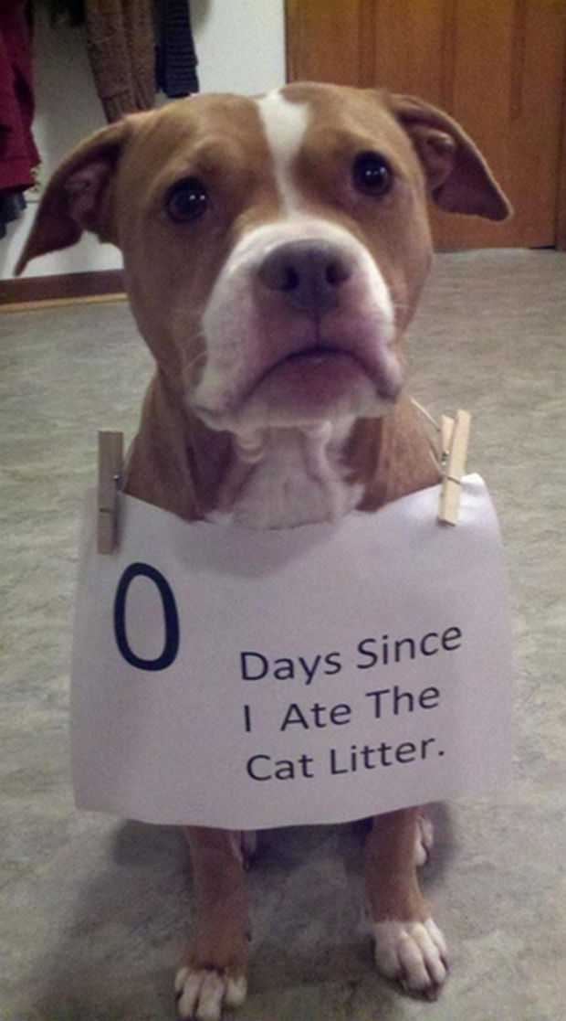He's now on a 12-step program.