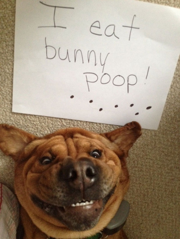 Look at that smile, he looks so proud!