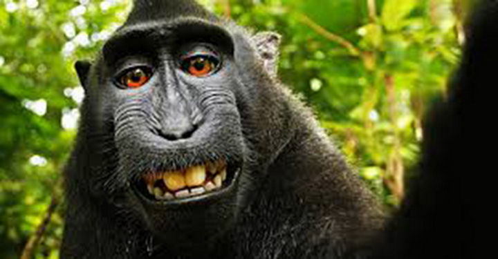 17 Animal Selfies - Showing off his winning smile.
