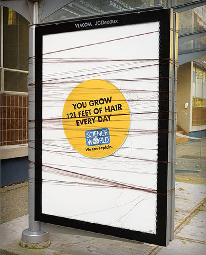 20 Billboards with Science Facts - You grow 121 feet of hair every day.