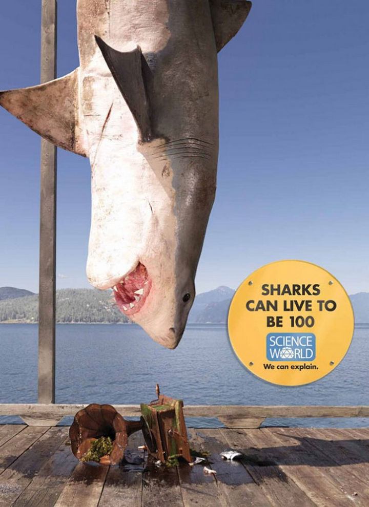 20 Billboards with Science Facts - Sharks can live to be 100.
