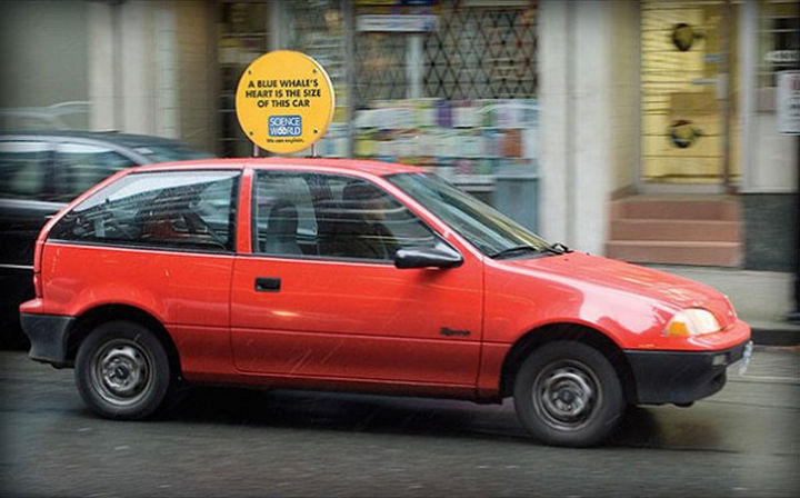 20 Billboards with Science Facts - A blue whale's heart is the size of this car.