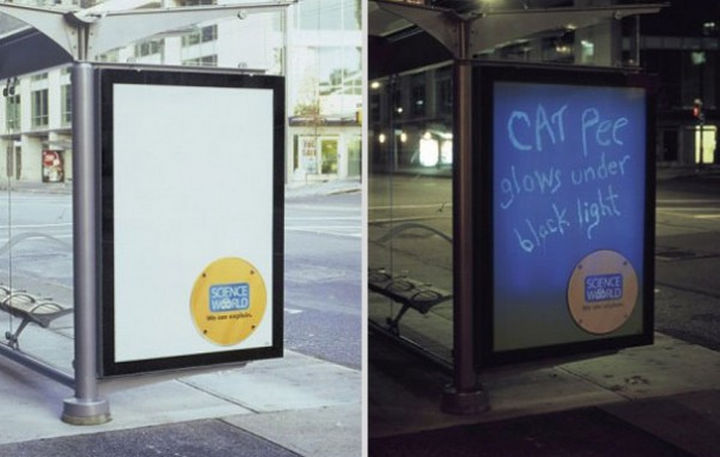 20 Billboards with Science Facts - Cat pee glows under black light.