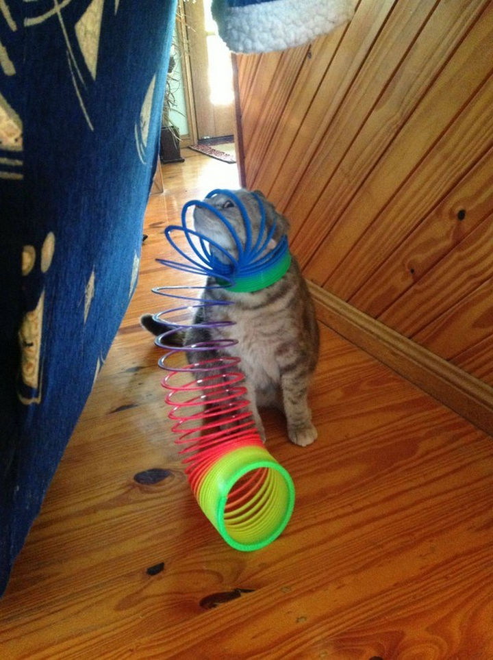 30 Funny Cat Pictures - "Hmm, I've really done it now..."