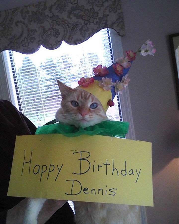 30 Funny Cat Pictures - "I will get the humans for dressing me up like this on my birthday."