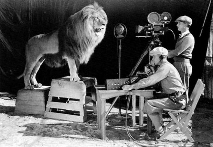 Cameramen recording the lion roar for the infamous MGM logo.