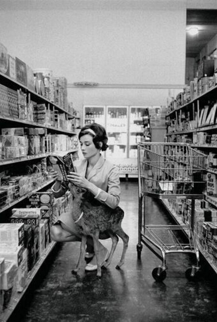 Audrey Hepburn shopping with her pet deer, Ip, in Beverly Hills, California in 1958.