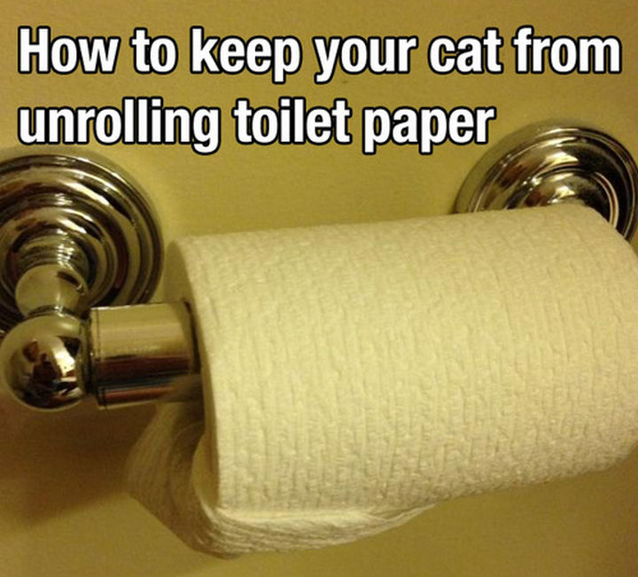 52 Cleaning and Life Hacks - How to keep your cat from unrolling toilet paper.