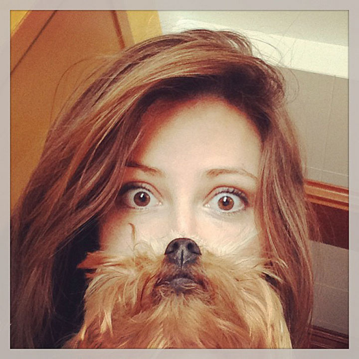 20 Funniest Dog and Cat Beards Ever - Good morning!