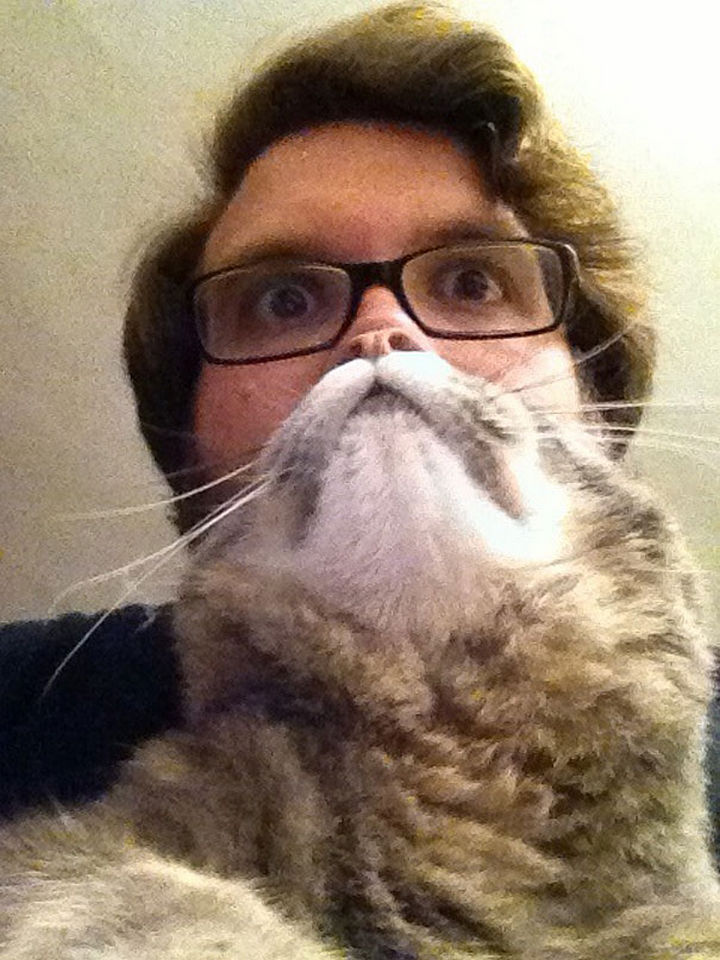 20 Funniest Dog and Cat Beards Ever - He needs a shave right meow.