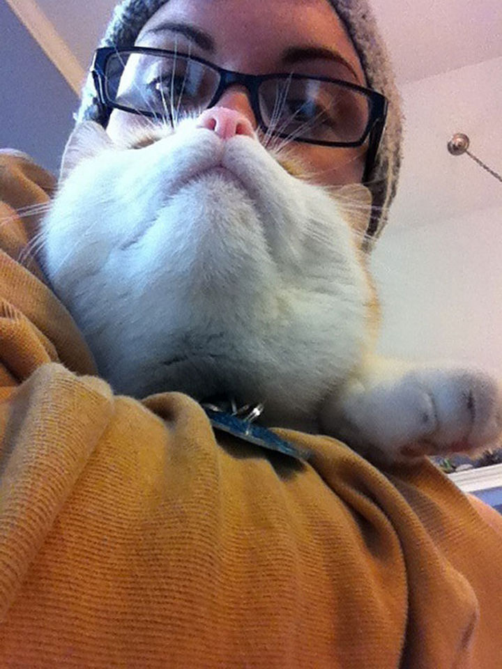 20 Funniest Dog and Cat Beards Ever - Purrrfectly done.