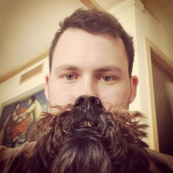 20 Funniest Dog and Cat Beards Ever - How a beard should look. Flowing and untamed!