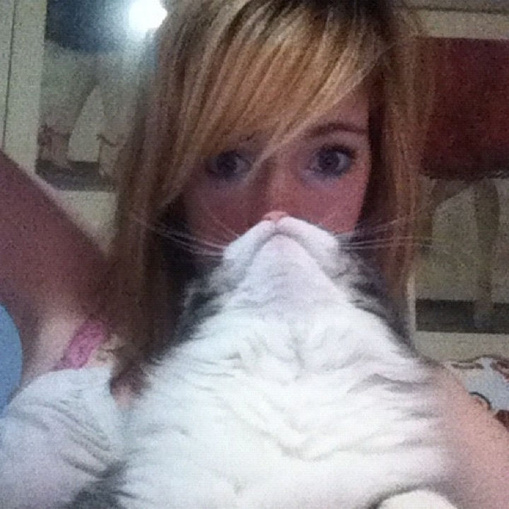 20 Funniest Dog and Cat Beards Ever - "Excuse me, my eyes are up here."