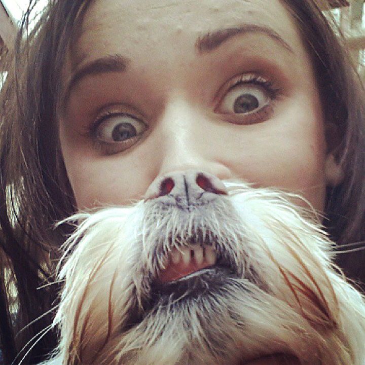 20 Funniest Dog and Cat Beards Ever - "Do I have any spinach between my teeth?"