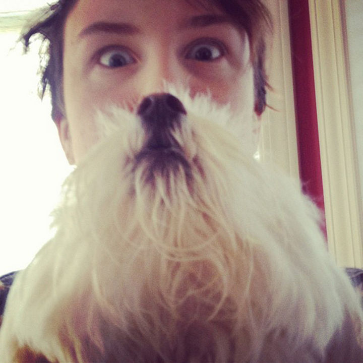20 Funniest Dog and Cat Beards Ever - That is one epic beard.