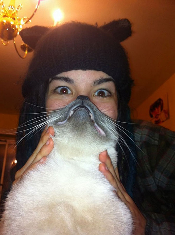 Hear me roar...meow. Awesome cat beard.