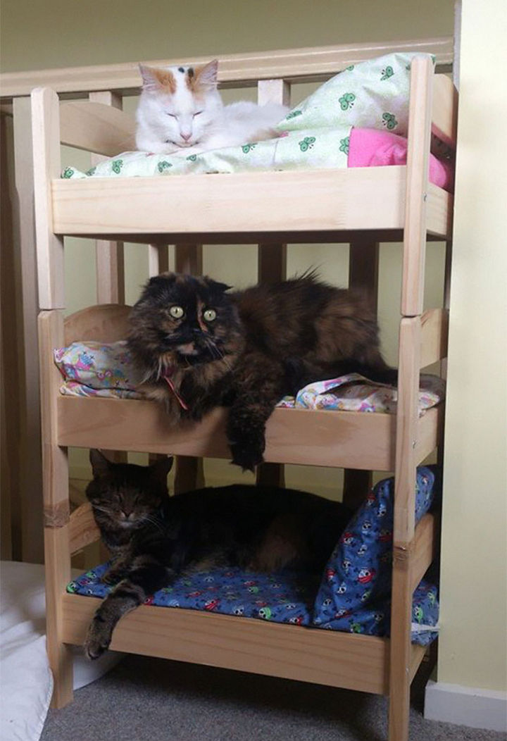 ...or stacked to make a cool hotel for cats (but make sure they're secured together properly!)