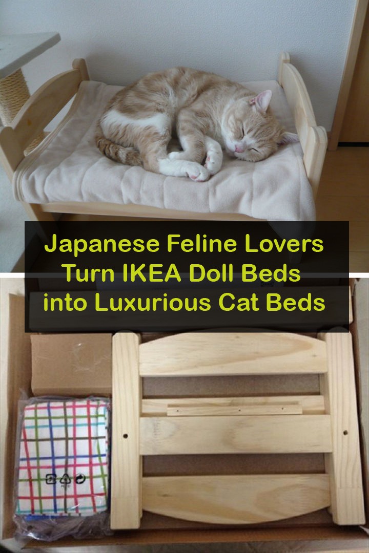 Japanese Feline Lovers Turn IKEA Doll Beds into Luxurious Cat Beds