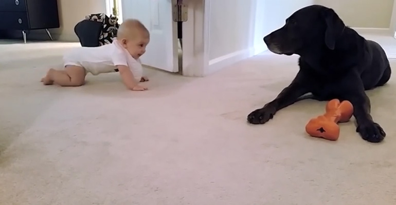 Watching This Baby Crawl for the First Time Is Sweet but the Ending Is Even Sweeter