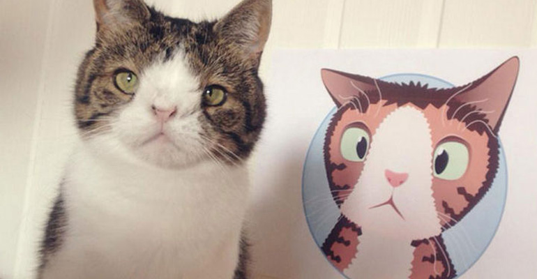 This Cat May Look Unusual but You’ll Fall in Love the Minute You Meet Him
