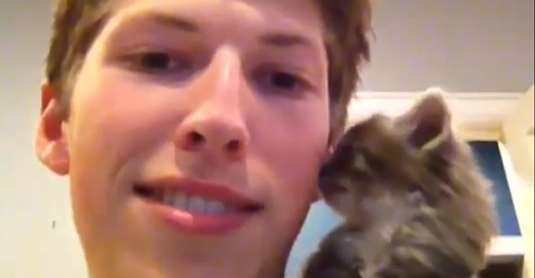 Watching This Kitten Try to Meow Will Be the Best 6 Seconds of Your Day