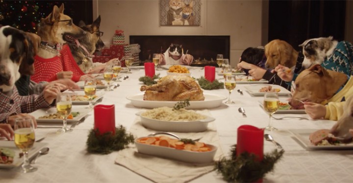 Hilarious Holiday dinner for dogs and 1 cat in this hilarious Freshpet commercial.